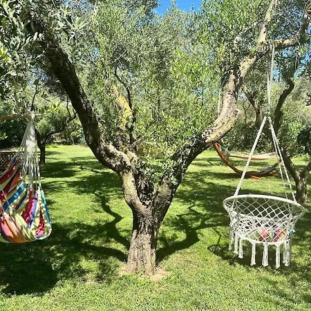 Dolores , With A Spectacular Swimming Pool With Hydromassage And A Big Garden For The Children - Iun S3325