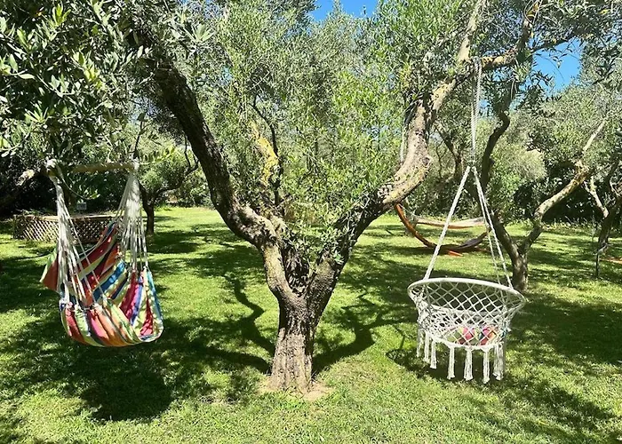 Dolores , With A Spectacular Swimming Pool With Hydromassage And A Big Garden For The Children - Iun S3325