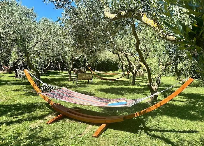 Dolores , With A Spectacular Swimming Pool With Hydromassage And A Big Garden For The Children - Iun S3325 Willa